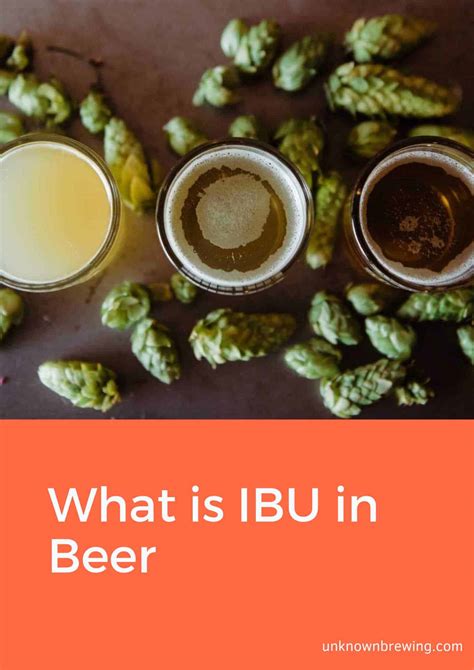 IBU in Beer: What It Is and How It Works .